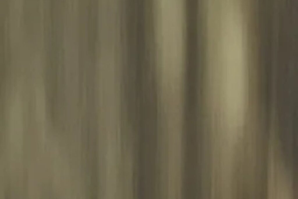 SS PVD Coated in uae